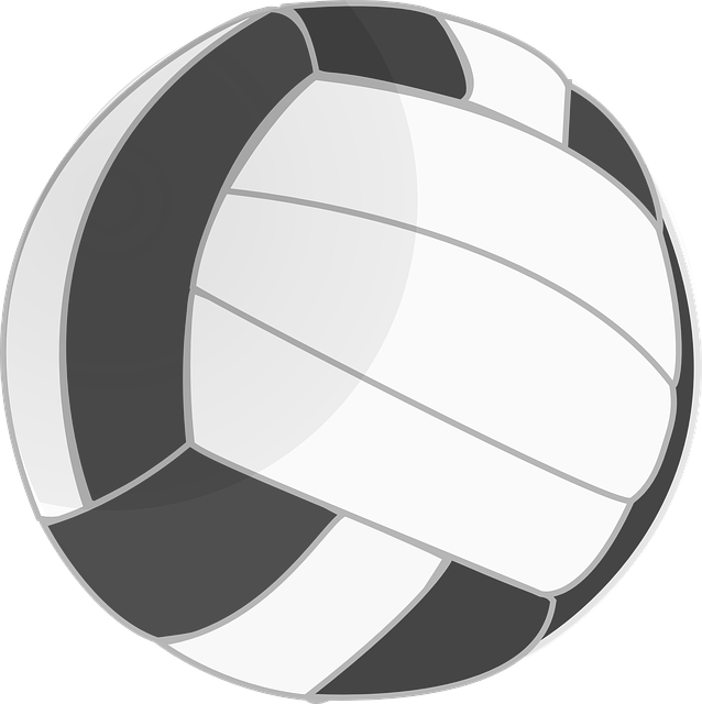 icono de pelota de voleibol